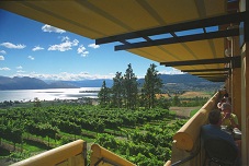 Vineyard Lakes